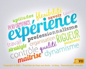 Image de nuage de mots avec différentes compétences